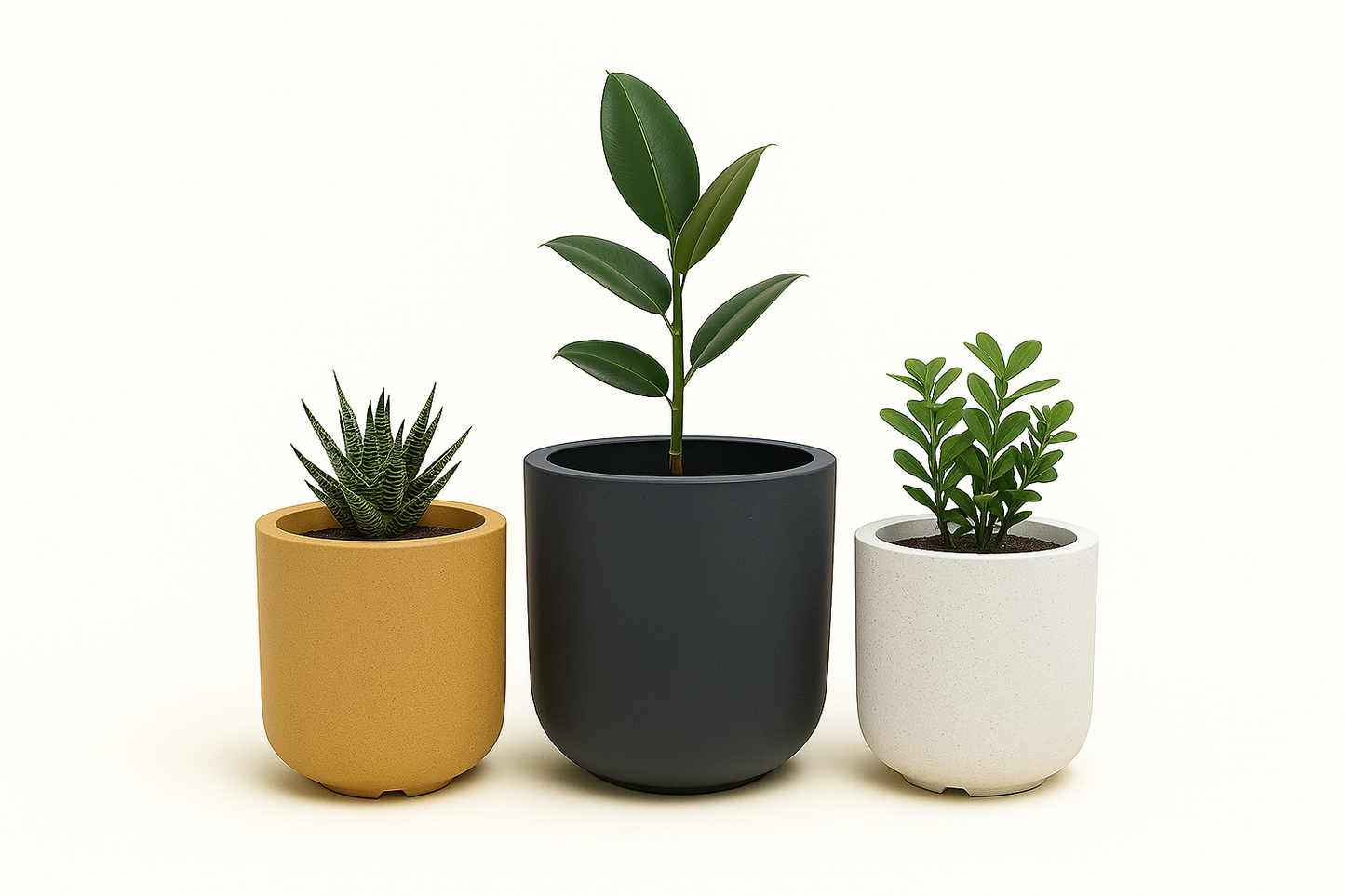 THE LARGE CYLINDER PLANTER